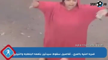 ضربة أمنية بالمرج.. تفاصيل سقوط سيدتين بتهمة البلطجة والترويج